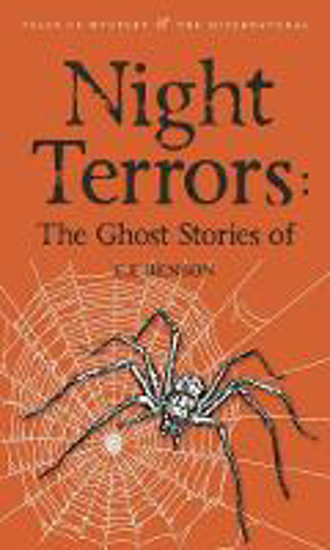 Picture of Night Terrors: The Ghost Stories of E.F. Benson