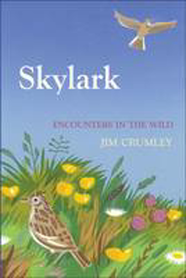 Picture of Skylark