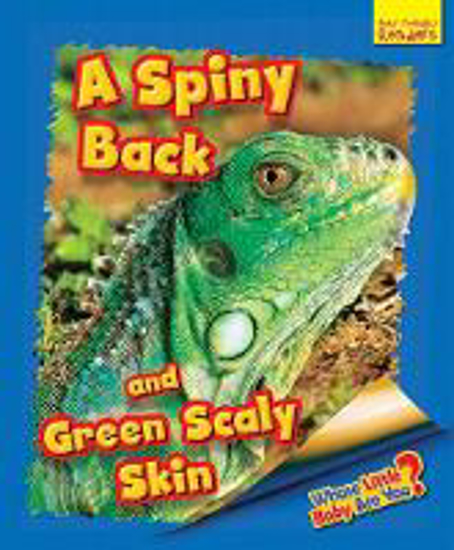 Picture of Whose Little Baby are You? A Spiny Back and Green Scaly Skin