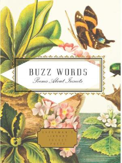 Picture of Buzz Words: Poems About Insects