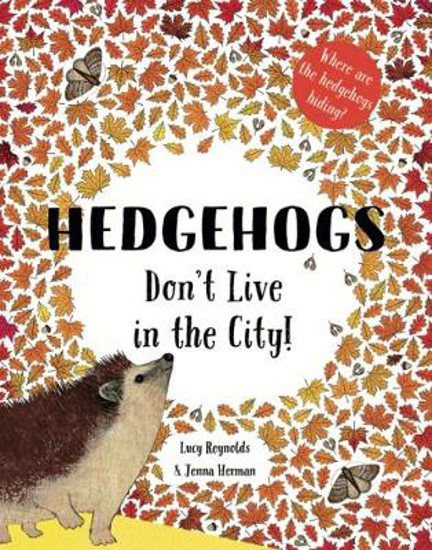 Picture of Hedgehogs Don't Live in the City!