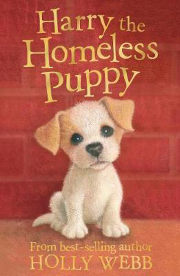 Picture of Harry the Homeless Puppy