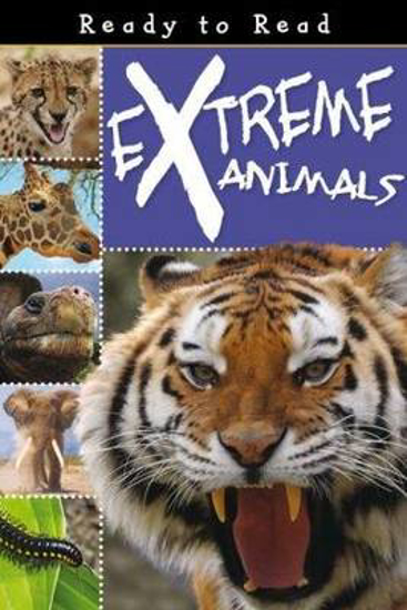 Picture of Extreme Animals