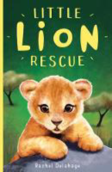 Picture of Little Lion Rescue