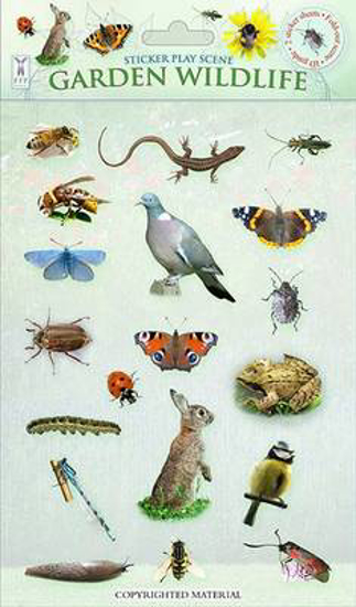Picture of Garden Wildlife