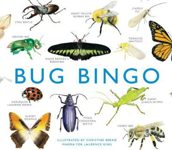 Picture of Bug Bingo