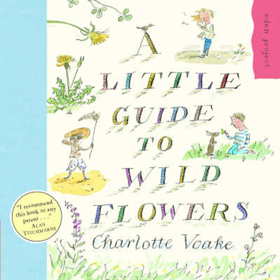 Picture of A Little Guide To Wild Flowers