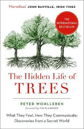 Picture of The Hidden Life of Trees