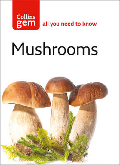 Picture of Collins Gem Mushrooms