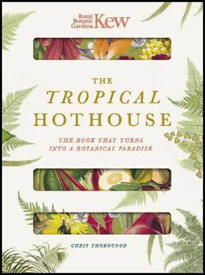 Picture of Kew: The Tropical Hothouse