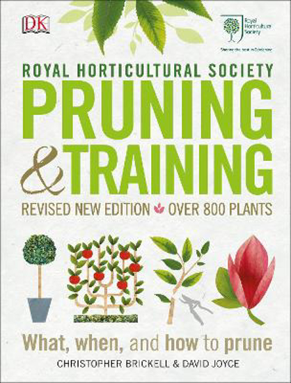 Picture of RHS Pruning and Training
