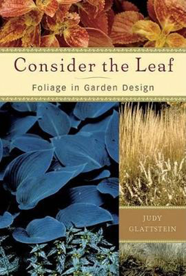 Picture of Consider the Leaf