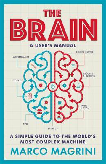 Picture of The Brain: A User's Manual: A simple guide to the world's most complex machine