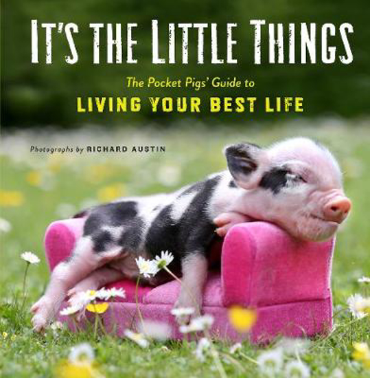 Picture of It's the Little Things: The Pocket Pigs' Guide to Living Your Best Life