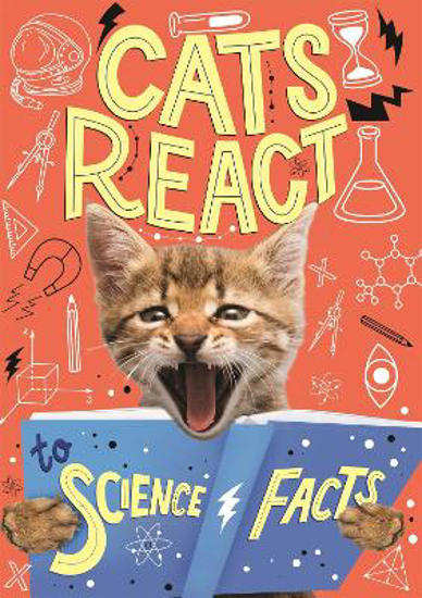 Picture of Cats React to Science Facts