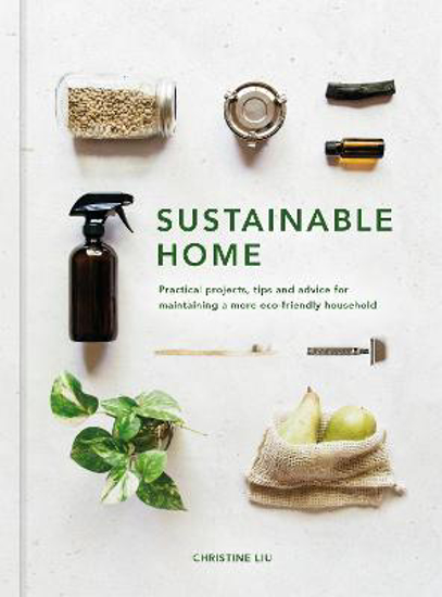 Picture of Sustainable Home: Practical projects, tips and advice for maintaining a more eco-friendly household: Volume 1