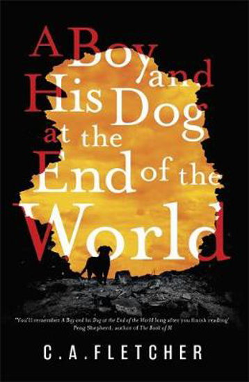 Picture of A Boy And His Dog At The End Of The World (fletcher) Trade Pb