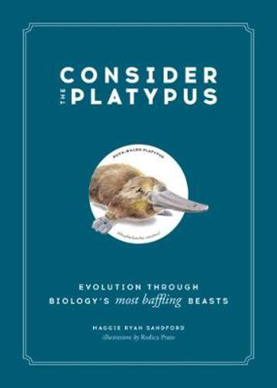 Picture of Consider the Platypus: Evolution through Biology's Most Baffling Beasts