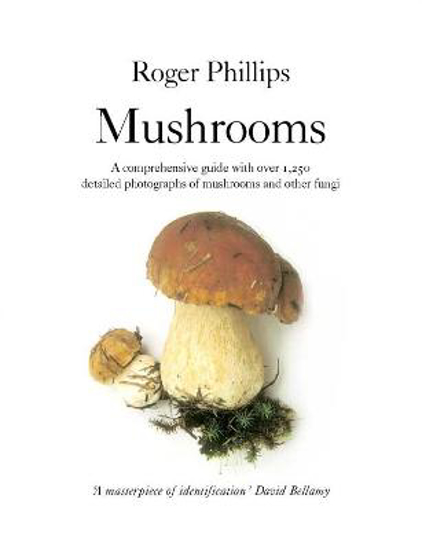 Picture of Mushrooms