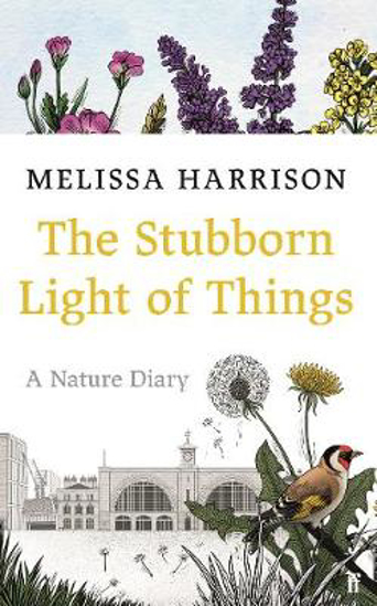 Picture of Stubborn Light of Things (Harrison) HB