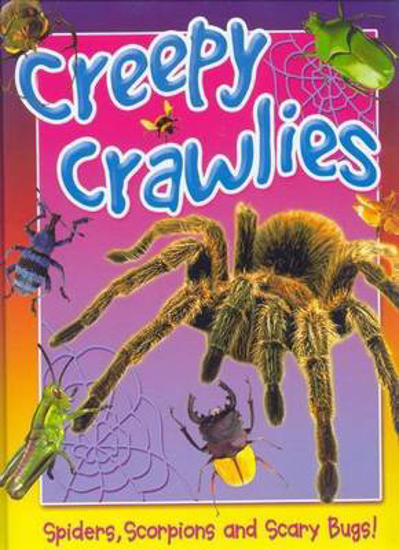 Picture of Creepy Crawlies HB