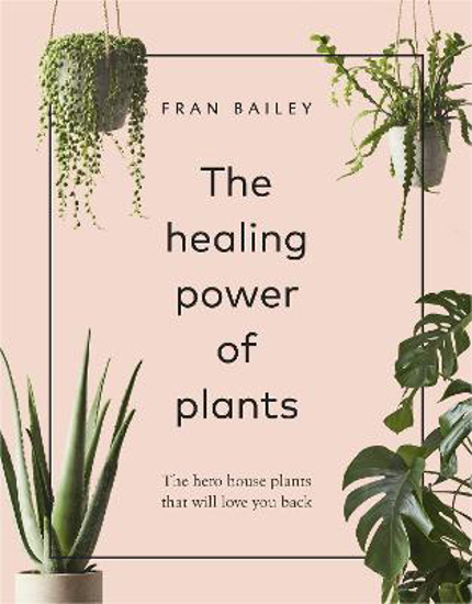 Picture of The Healing Power of Plants