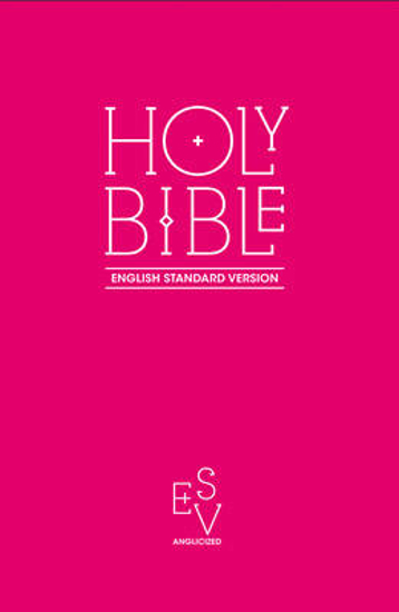 Picture of Holy Bible: English Standard Version (ESV) Anglicised Pink Gift and Award edition