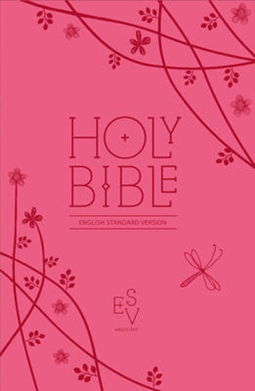 Picture of Holy Bible: English Standard Version (ESV) Anglicised Pink Compact Gift Edition with Zip (Collins Anglicised ESV Bibles)