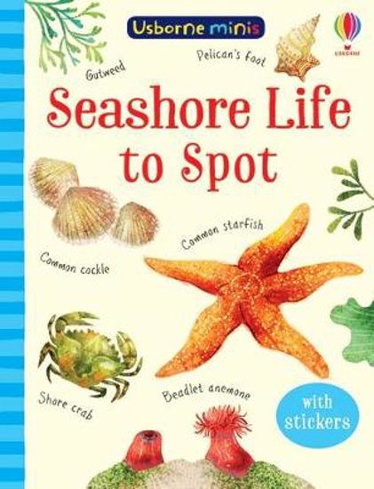 Picture of Seashore Life to Spot