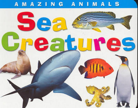 Picture of Amazing Animals: Sea Creatures BOARD