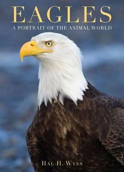 Picture of Eagles: A Portrait Of The Animal World (Wyss) PB