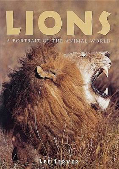 Picture of Lions: A Portrait Of The Animal World (Server) PB