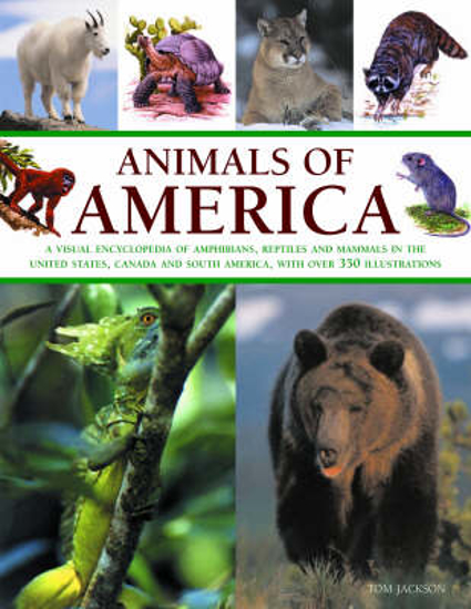 Picture of Animals of America