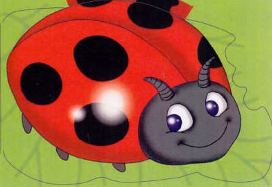 Picture of Ladybird: Chunky Animals