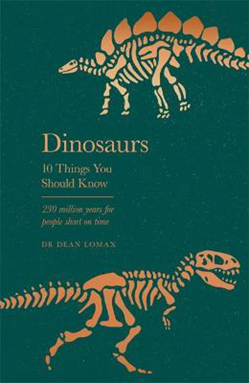 Picture of Dinosaurs: 10 Things You Should Know