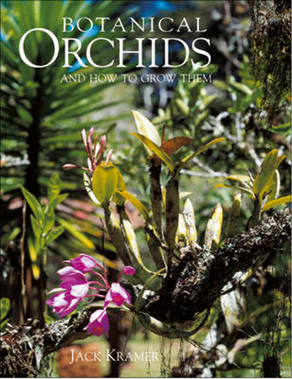 Picture of Botanical Orchids and How to Grow Them
