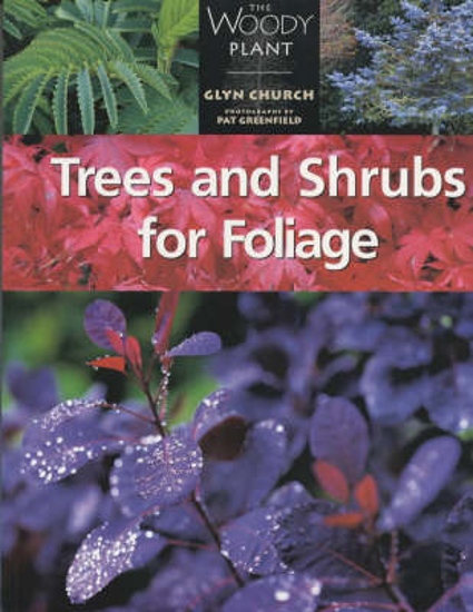 Picture of Trees and Shrubs for Foliage