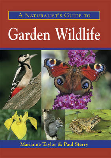 Picture of A Naturalist's Guide to Garden Wildlife