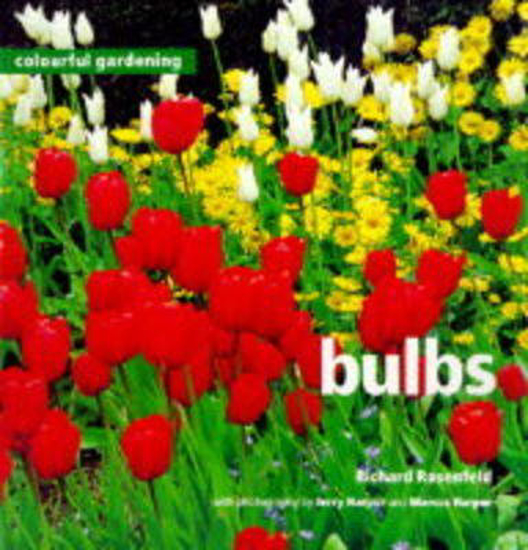 Picture of Bulbs