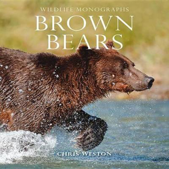 Picture of Wildlife Monographs: Brown Bears