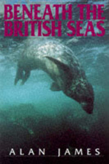 Picture of Beneath British Seas