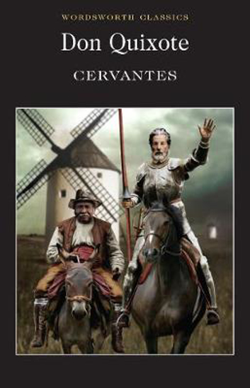 Picture of Don Quixote