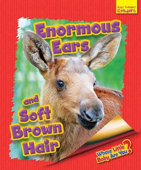 Picture of Whose Little Baby are You? Enormous Ears and Soft Brown Hair