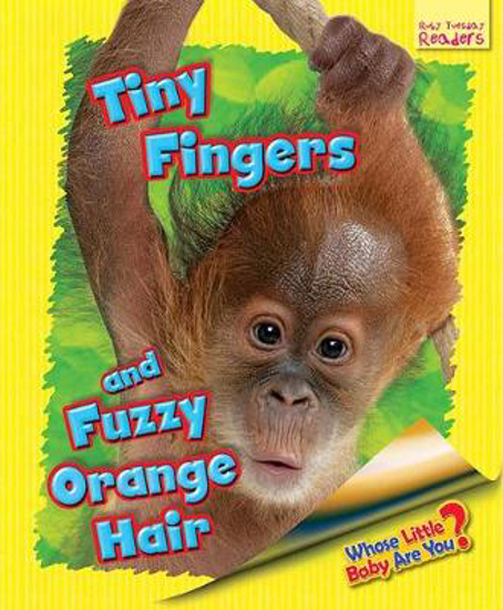 Picture of Whose Little Baby are You? Tiny Fingers and Fuzzy Orange Hair