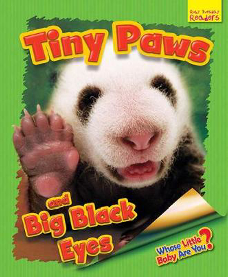 Picture of Whose Little Baby are You? Tiny Paws and Big Black Eyes