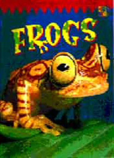 Picture of Frogs