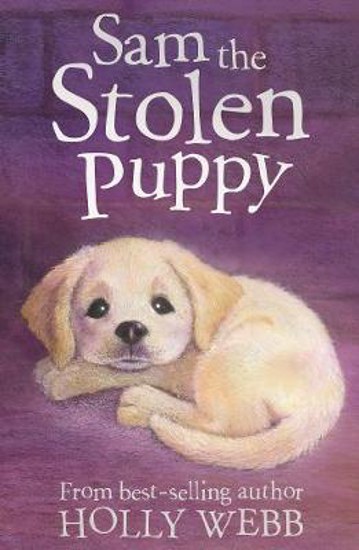 Picture of Sam the Stolen Puppy
