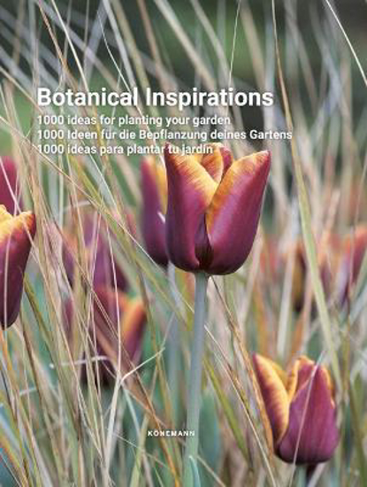 Picture of Botanical Inspirations