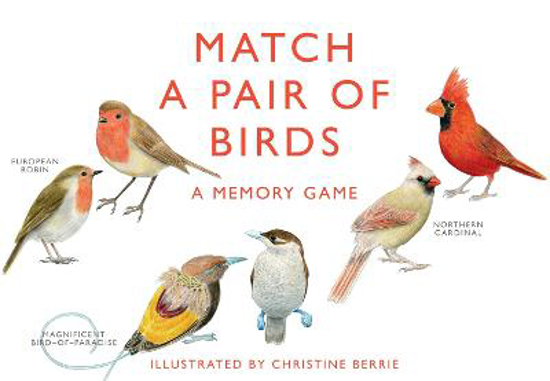Picture of Match a Pair of Birds