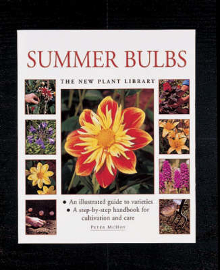 Picture of Summer Bulbs